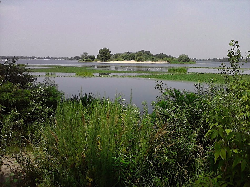 P180711_14.44.jpg