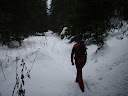 PA220047.JPG