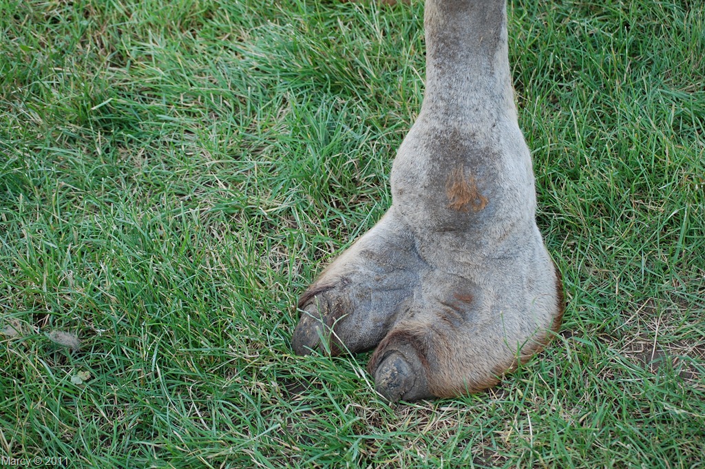 [DSC_1069%255B9%255D.jpg]