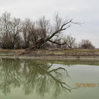 IMG_1532.JPG