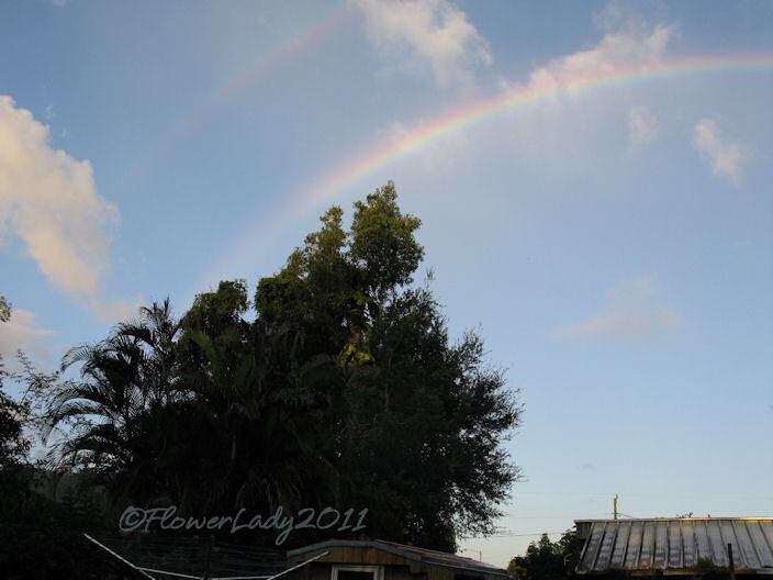 [09-28-rainbow4%255B4%255D.jpg]