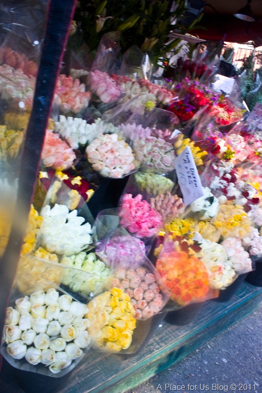 [IMG_0898_29053.jpg]