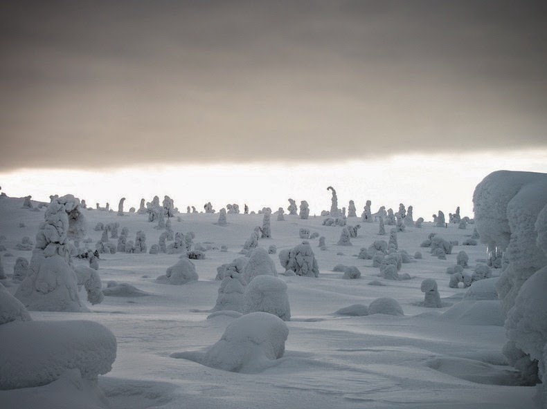 Mùa đông ở công viên Riisitunturi National, Phần Lan. Riisitunturi-tykky-3%25255B2%25255D