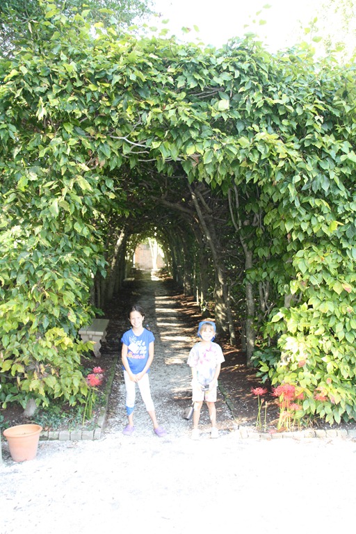 [IMG_7534%255B4%255D.jpg]