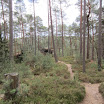 IMG_0173.JPG