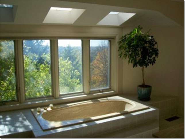 Tub with a View