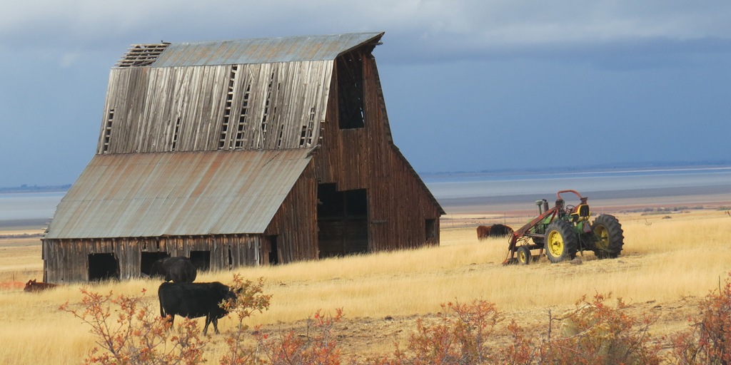 [Modoc%2520blue%2520with%2520Tractor.%2520Crystal%2520Harling%255B3%255D.jpg]