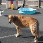 DSCN4744.jpg