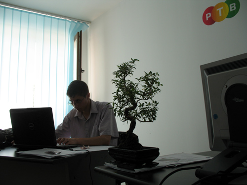 Bogdan+Bonsai