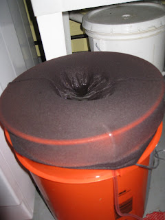 All dressed up and nowhere to go! Finished compost is put in the legs of the pantyhose(Size Q).