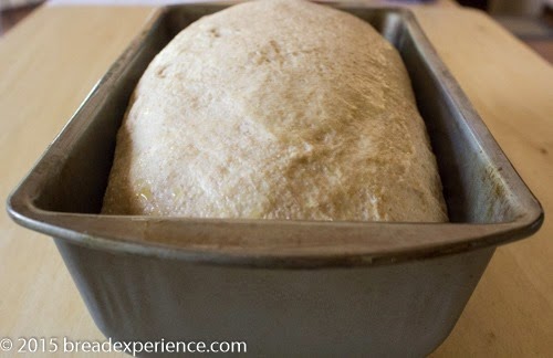 [1805-potato-bread-74.jpg]