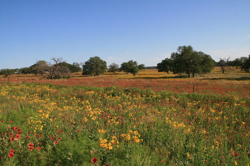 [IMG_7488%255B4%255D.jpg]