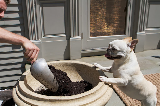 Ryan, it's important to use a good potting mix and this one has excellent moisture retention, drainage, and is light, allowing roots to grow easily. Ryan, it's important to use a good potting mix and this one has excellent moisture retention, drainage, and is light, allowing roots to grow easily.