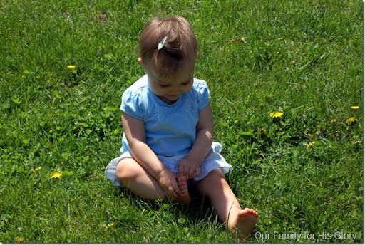 rain ariya Ariya and dandelions