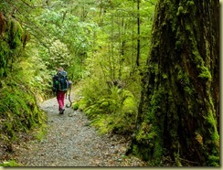 Routeburn-96