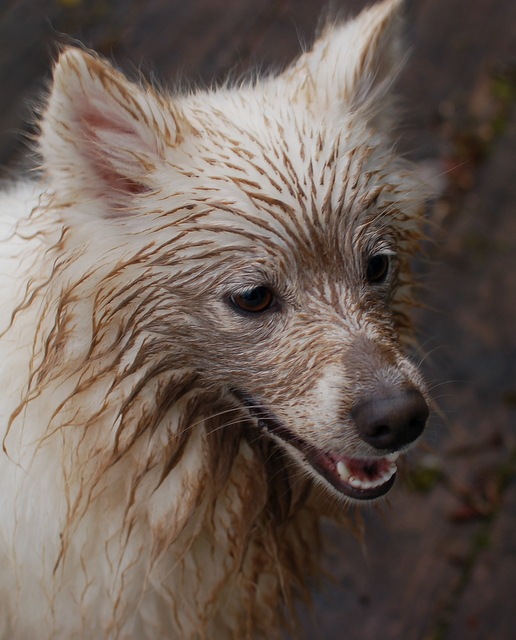 [DSC_5987%255B4%255D.jpg]