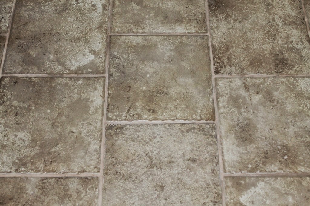 [the%2520house%2520059%255B8%255D.jpg]