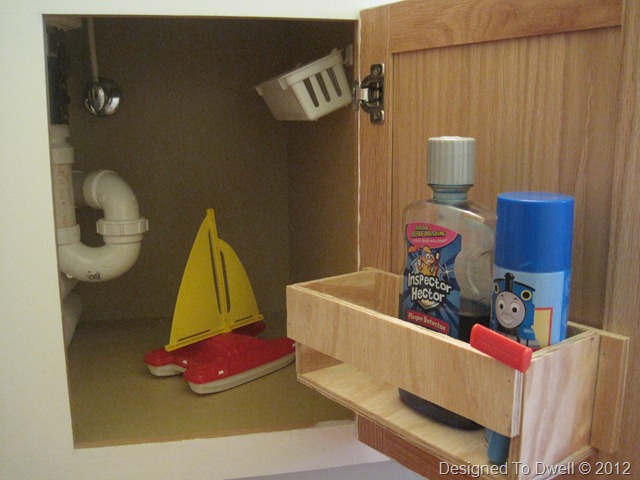 Under Sink Organization IMG_5644
