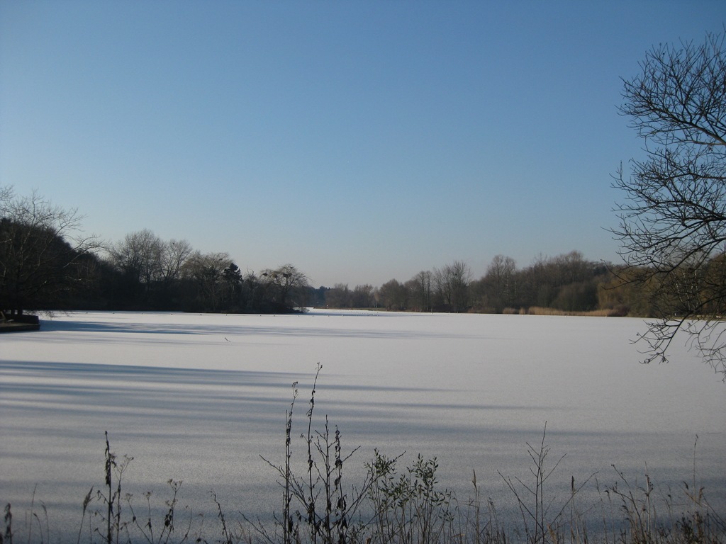 [IMG_5362%255B7%255D.jpg]