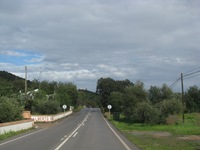 IMG_2770 IMG_2770