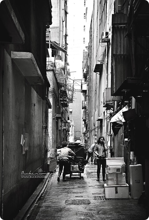 Alley-(1) Alley-(1)