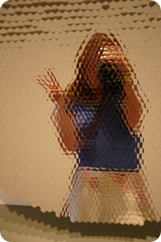 IMG_0162 IMG_0162