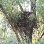 DSCN9681.JPG