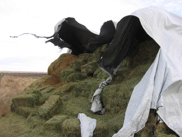 [wind%2520008%255B3%255D.jpg]