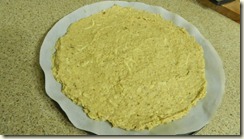 DSCN8118 DSCN8118
