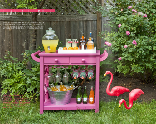 [pink%2520bar%2520cart%2520chic%2520entertaining%255B4%255D.png]