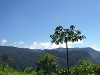 IMGP1661.JPG