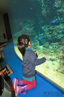 IMG_3004 IMG_3004