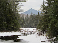 IMG_0507.JPG Photo