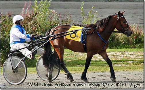 2012_mønstringsløp-3sept_01 2012_mønstringsløp-3sept_01