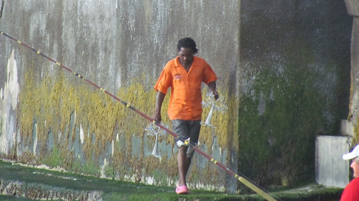 [IMG_5736%255B5%255D.jpg]