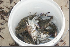 Saturday crabing fishing 074