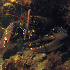 IMG_5556.JPG
