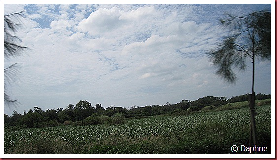 IMG_3865 IMG_3865