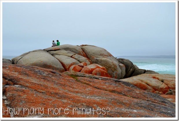 How Many More Minutes? ~ Bay of Fires, Tasmania: part two!