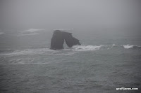 IMG_9338.JPG Photo