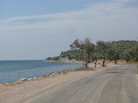 IMG_1521 IMG_1521