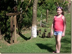 IMG_0428 IMG_0428