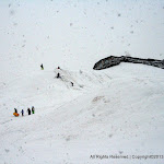 IMG_7897.JPG