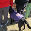 Moving Towards A Cure® Orlando 2011