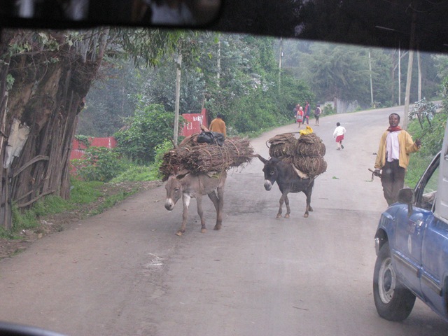 [IMG_2246%255B11%255D.jpg]