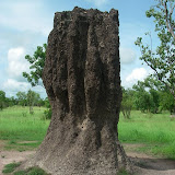 Kakadu N.P.