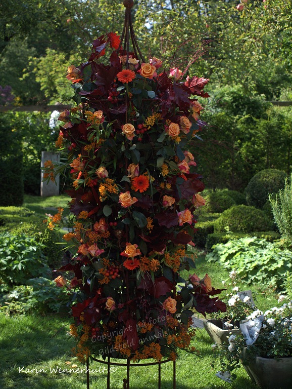 [Blomstertrof%25C3%25A9%255B3%255D.jpg]