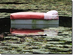 August 2011 150