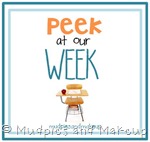 Our Weekly Wrap-Up Our Weekly Wrap-Up