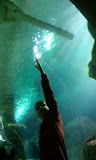 2011-11-07 11.28.34.jpg